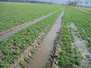 dies-mussen-wir-doch-nicht-subventionieren