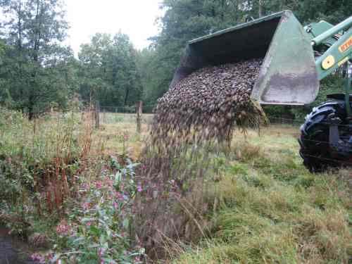 IMG_0079 - sauberer Kies Mühlenbach