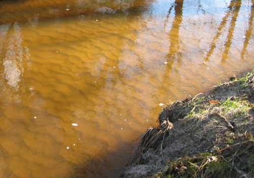 IMG_6286 - Sandrippel Forst Langeloh besonnt