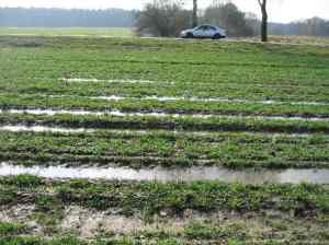 mach-lieber-ein-feuchtgebiet-draus