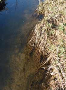 marbeck2-fischverstecke1