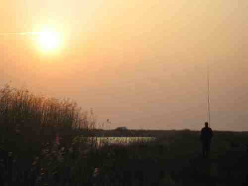 img_2846-lonborg-abendsonne1 Gern kommen wir wieder!