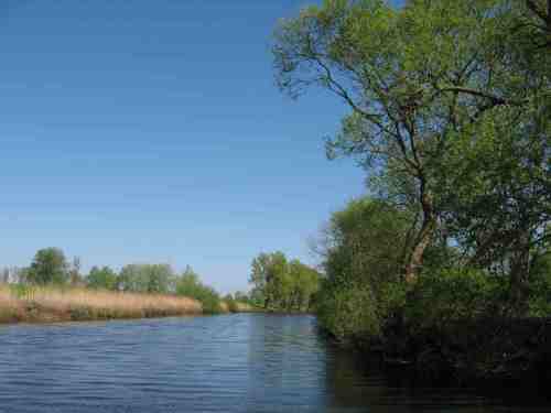 img_2899-oste-abwarts-viel-gluck img_2899-oste-abwarts-viel-gluck