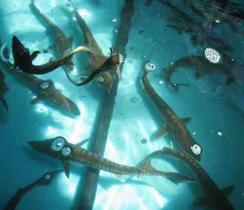 img_2914-noch-etwas-geduld-bitte img_2914-noch-etwas-geduld-bitte