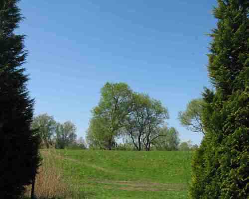 img_2924-ostedeich-bremervorde img_2924-ostedeich-bremervorde