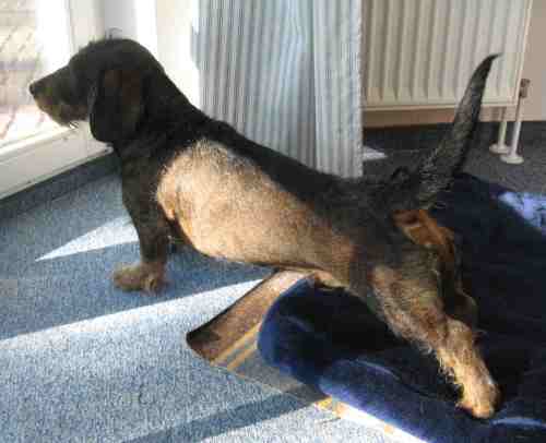 img_2973-ausgeschlafen-recken-und-strecken Auf zu neuen Taten!