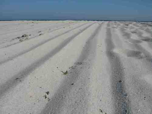 img_3001-prerow-strand So einen Sand muss man erstmal finden!