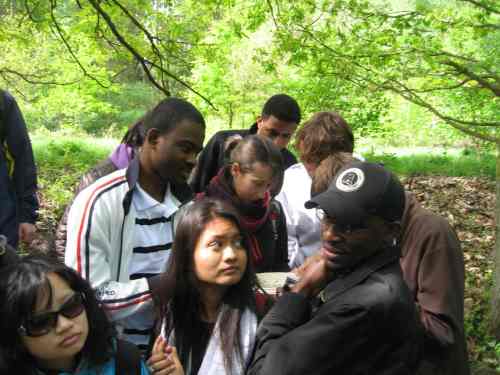 IMG_3330 - peeping invertebrates IMG_3330 - peeping invertebrates