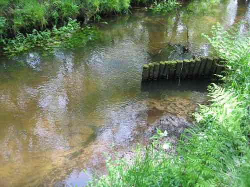 IMG_3341 - current deflector with detritus collector building up a new shore IMG_3341 - current deflector with detritus collector building up a new shore