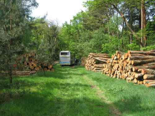 IMG_3344 - bus in woody environment Und dann haben wir die Wildnis wieder verlassen - bis zum nächsten Mal !