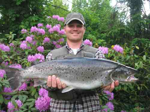 IMG_3610 - Björns 70er MF