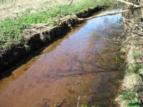 1 - 150407-IMG_2826 - baumlos Wo vorher das Leben "tobte", bleibt nur die Wüste - harte Gewässerunterhaltung trägt das ihre zum Erhalt dieses Zustands bei.
