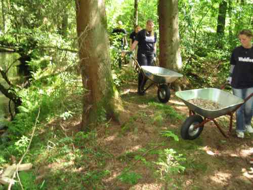 IMG_3954 - massenhaft Kies fahren Massenhaft Kies transportieren - hoffentlich ist die Schüttstelle bald erreicht!