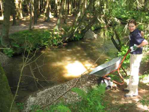 IMG_3981 - Kies geschüttet Wunderbar - Kies abgekippt.
