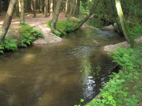 IMG_4025 - Butterberg-Este unten nachher Die untere Strecke - stark verbessert im Vergleich zu vorher, vgl. den vorigen Artikel.