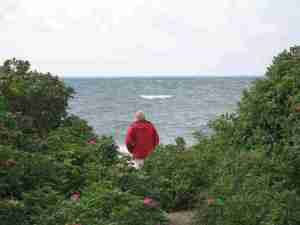 IMG_4438 - Wind hatten wir auch