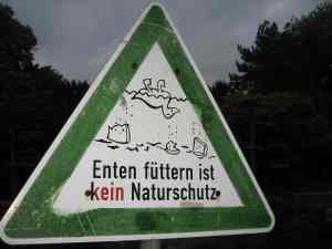 Enten bitte nicht füttern - das versaut Gewässer und Enten.