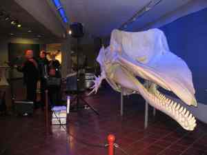 Gute Musik vor interessanter Kulisse.