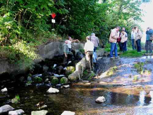 IMG_4942 - interessierte Zuschauer