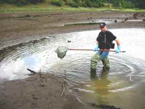 Der Profi mit dem E-Fischereigerät.
