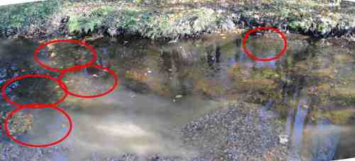 009-10-30 - Umlauflaichbetten alt-markiert-stitch