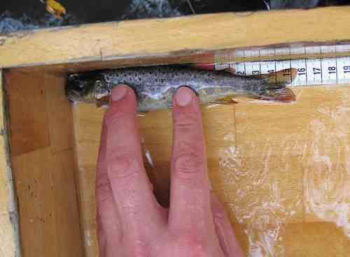 Etwas größer . . .