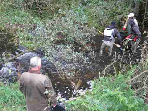 Ganz schön wurschtelig, so ein naturnahes Gewässer.