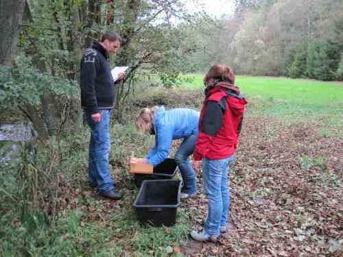 Alles wird gut vermessen.