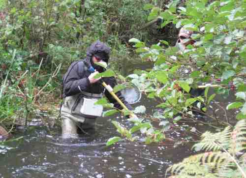 Uuups, ganz schön tief hier.