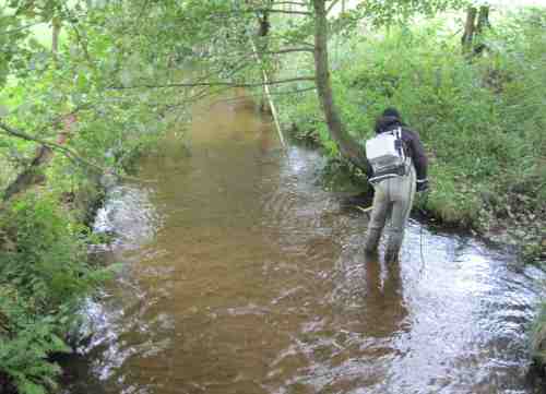 Schnellprüfung der Sandwüste - nix da!