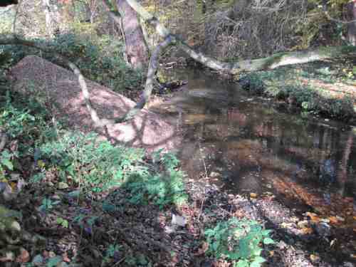 IMG_0333 - Kieshaufen unten