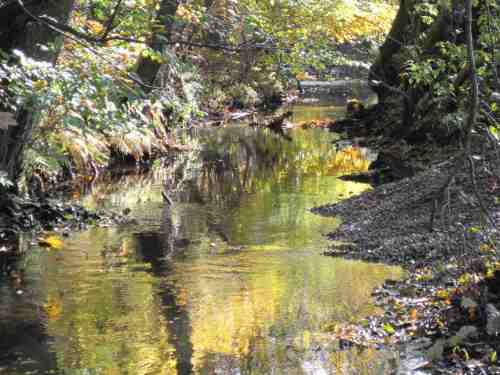 IMG_0351 - Laichbett neben Unterstand fertig