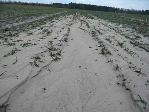 . . . damit dieser elende Boden- und Stoffeintrag durch Extrem-Erosion unterbleibt !