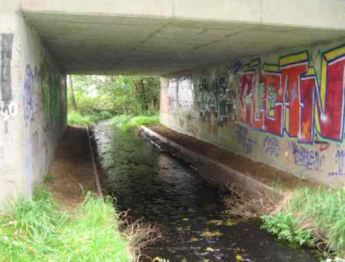 Kies und Geröll bieten durchgängigen Gewässergrund, auch der Otter kann jetzt dieses Bauwerk an Land passieren.