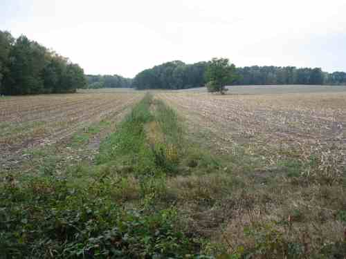 Schicksal eines Bachoberlaufs, in Niedersachsen fast an der Tagesordnung: verrohrt, kanalisiert, schutzlos bedrängt von Dünger und Pestizid. Und der Steuerzahler subventioniert . . .