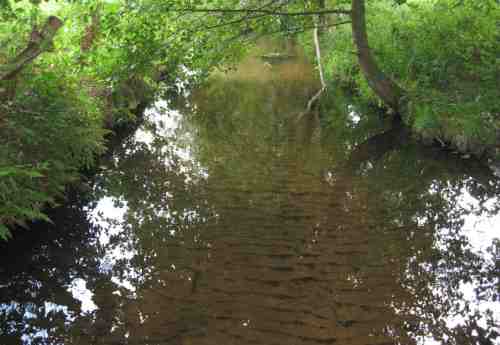 Nichts als Sand - die ökologische Wüste.