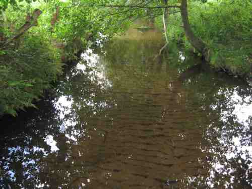 Was für den Laien wie ein Sandbach aussieht trügt - die Folge von erzeugter Überbreite und Bodeneinschwemmung.