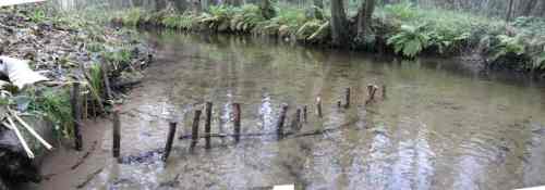 009-10-24 - Pfahltest Fichtenwiese-stitch