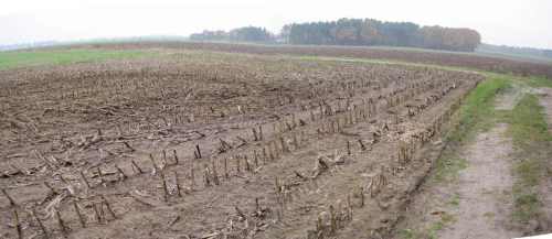 009-11-01 - Gülle auf Acker allein gelassen-stitch