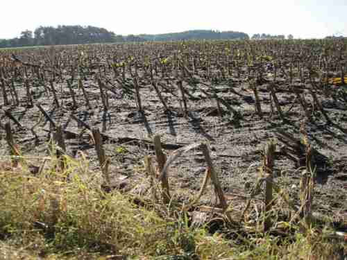 IMG_0118 - Niedersächsische Energielandschaft