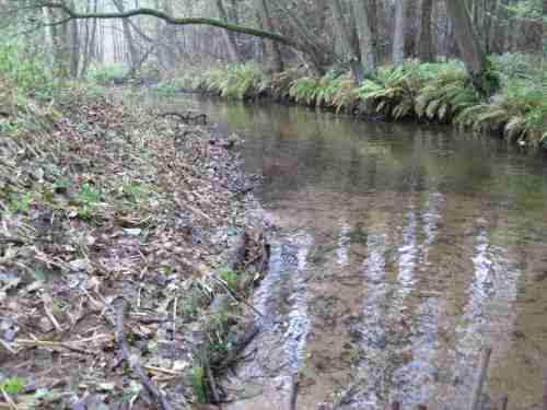 IMG_0236 - baum- und wurzelloser Gleithang