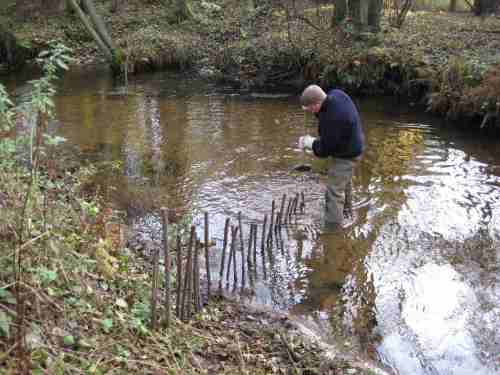 IMG_0361 - Neuanlage Kamm vor Ocker-Kurve