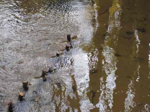 IMG_0366 - Turbulenz durch Kleinholz