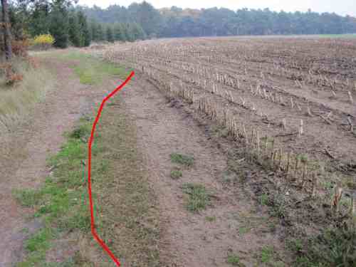 IMG_0413 - Gülle - der Wanderer soll auch nicht ohne bleiben