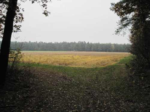 IMG_0417 - flächig Herbstfarben nach Agrarier-Art