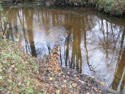 IMG_0419 - optimaler Laub-Sammler vor Ockerkurve