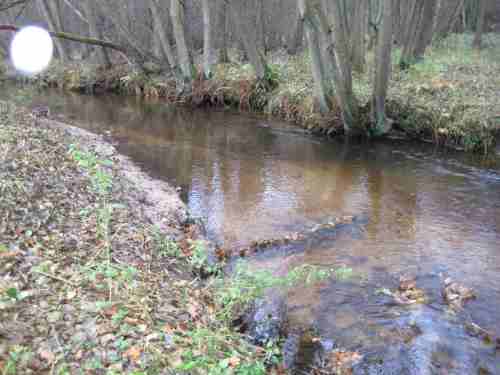 IMG_0424 - erster Fichtenwiesesammler nach HW, Gleithang gefräst