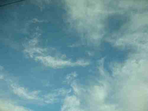 IMG_5326 - hoch fliegende Träume