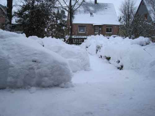 IMG_1337 - nochmal mehr als 20 cm abgeräumt