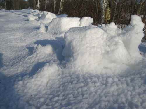 IMG_1342 - Lichtspiel im Ländlichen